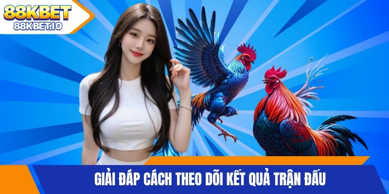 Giải đáp cách theo dõi kết quả trận đấu