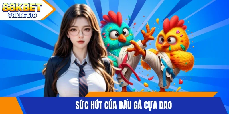 Sức hút của đấu gà cựa dao 
