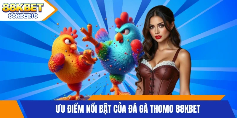Ưu điểm nổi bật của đá gà Thomo 88KBET